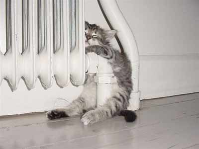 cat_and_heater.jpg